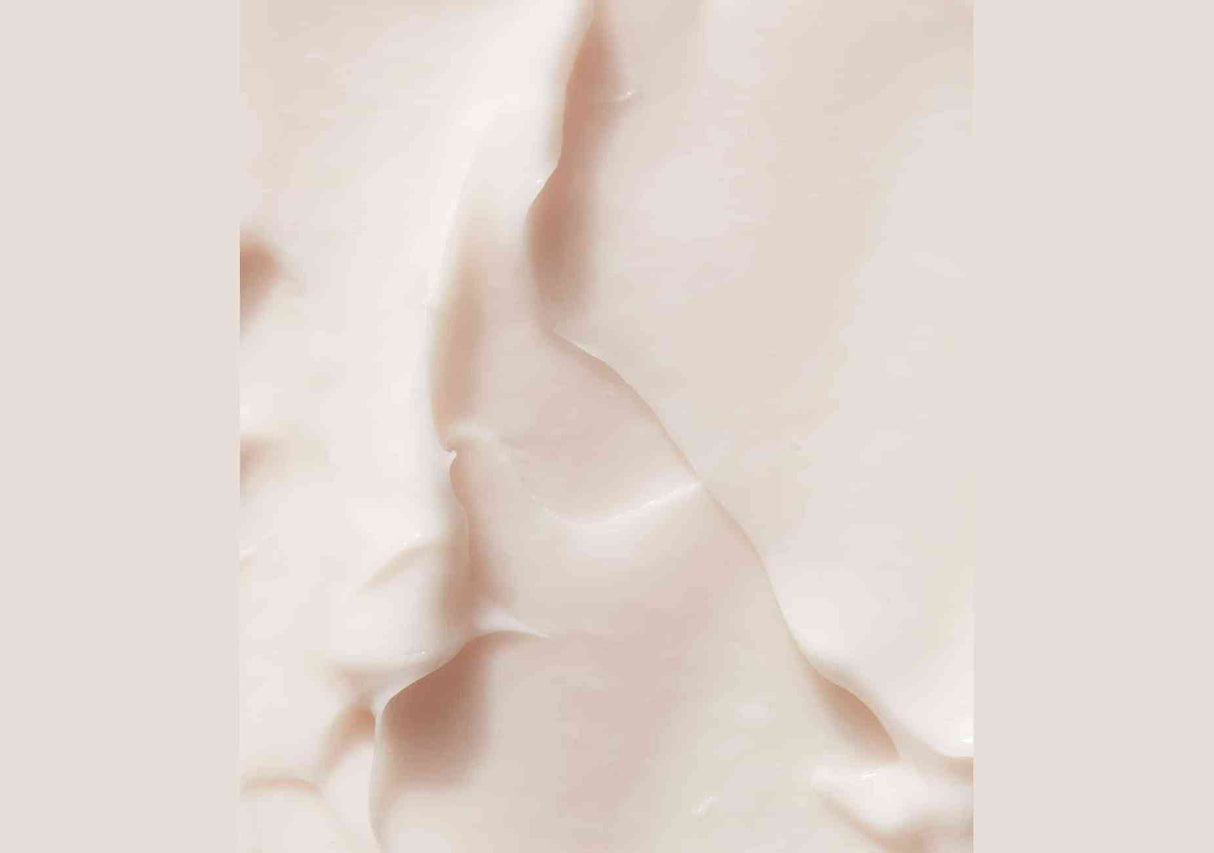 EVOLVE | Hydrate & Protect Facial Cream - 60ml - InternationalCosmetic