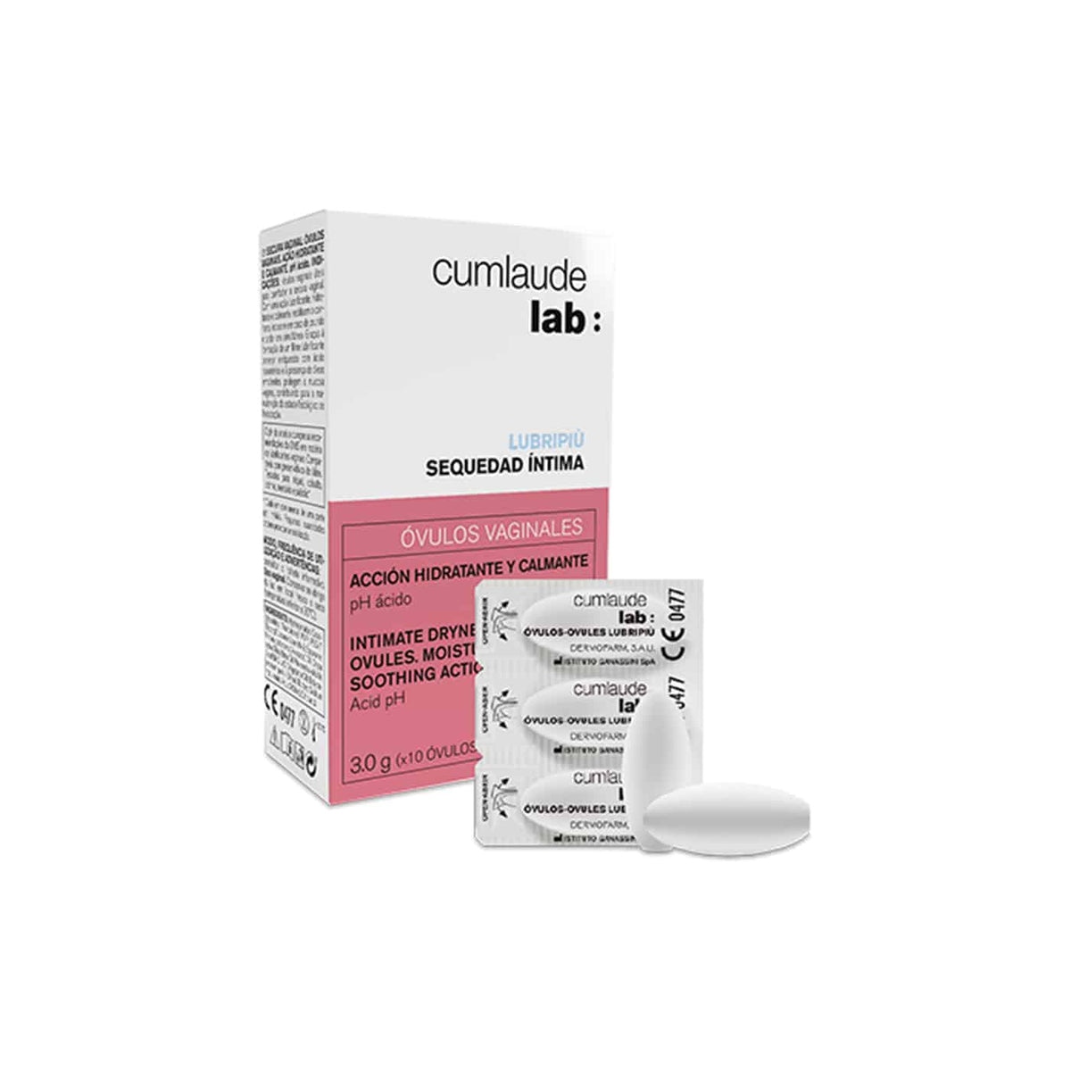 Xola bilan cunnilingus porno video