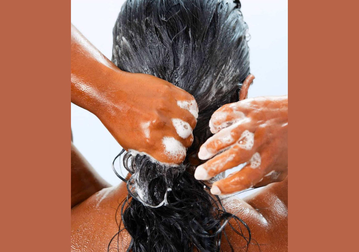 LIVING PROOF | No Frizz Shampoo