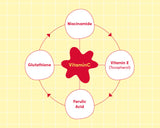 EQQUALBERRY | Vitamin Illuminating Serum 30ml