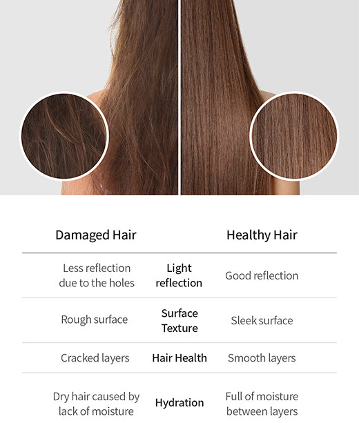 GROWUS | Damage Therapy Travel Kit