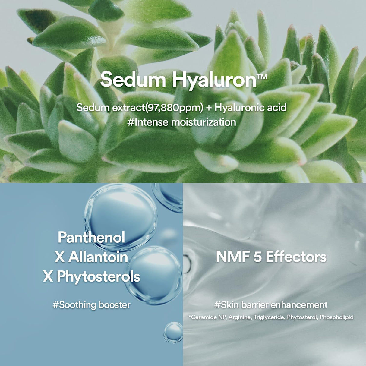 ABIB | Sedum Hyaluron Creme Hydrating Pot - 80ml