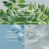 ABIB | Sedum Hyaluron Creme Hydrating Pot - 80ml