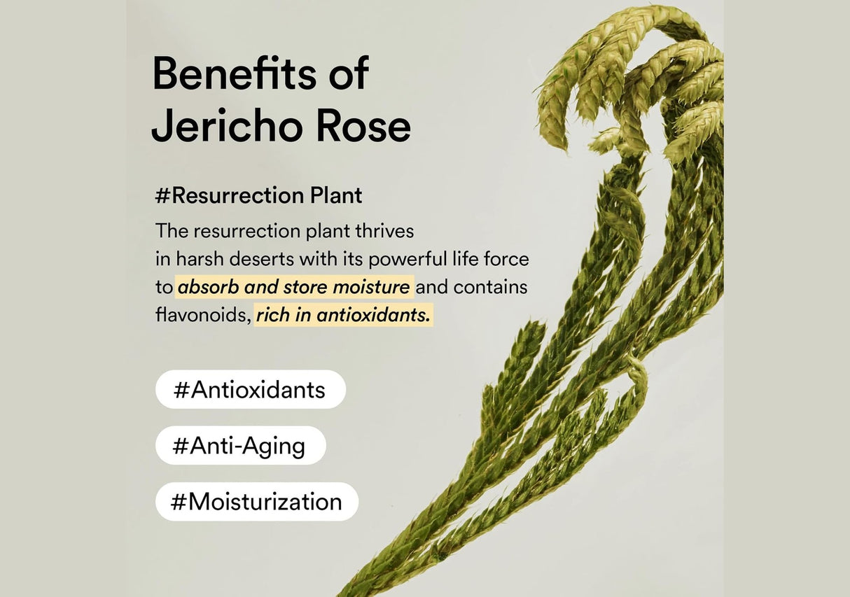 ABIB | Collagen Eye Creme Jericho Rose Tube - 30ml