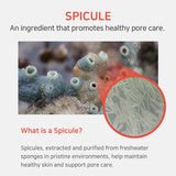 APLB | Spicule Vitamin C Shot 220 Serum - 40ml