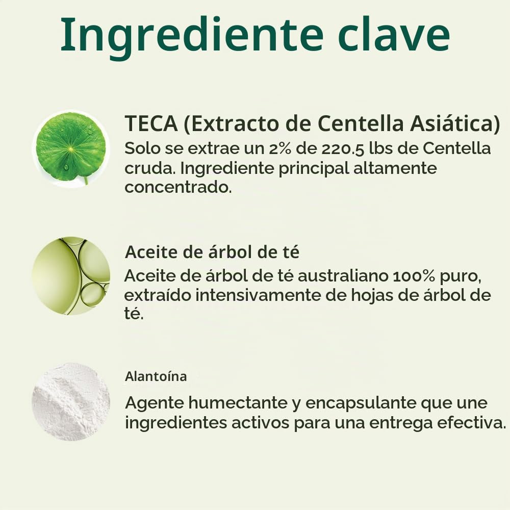 CENTELLIAN 24 | Madeca Powder Tea Tree AC - 6g