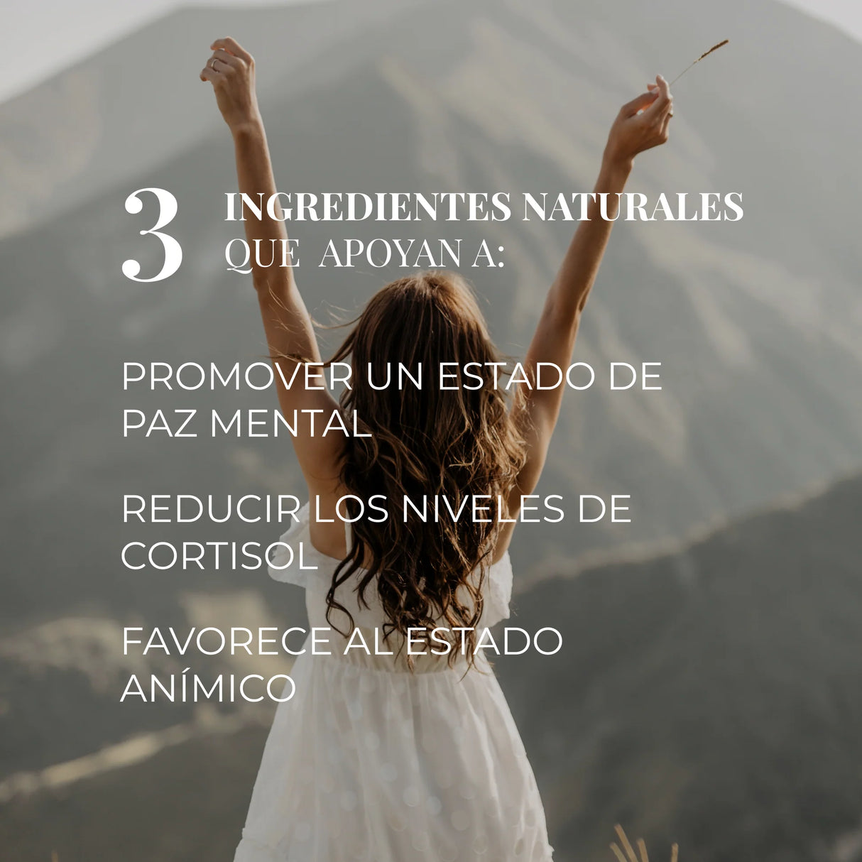 CHIC & LOVE | Anti-Stress Gummies