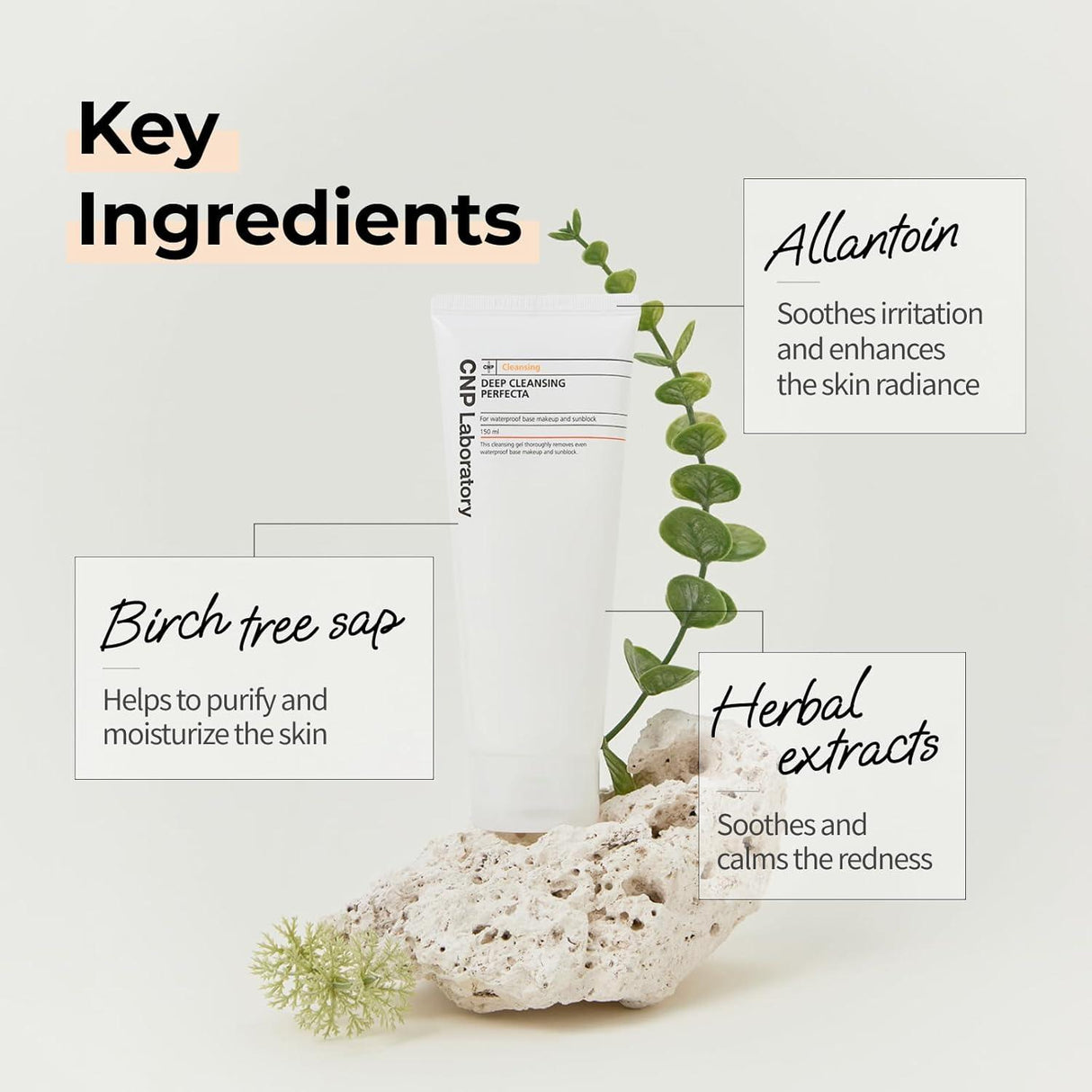 CNP LABORATORY | Deep Cleansing Perfecta - 150ml