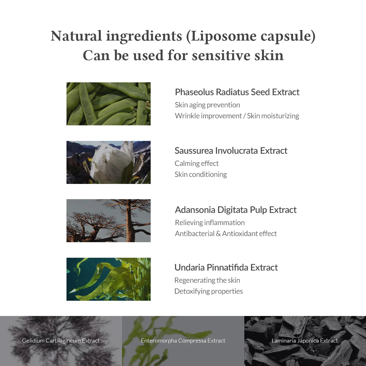 DR. ALTHEA | Premium Quick Step Sebum Cleanser - 100ml