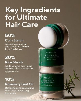 Rosemary Poudre de Shampooing Sec 10g