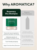Rosemary Poudre de Shampooing Sec 10g