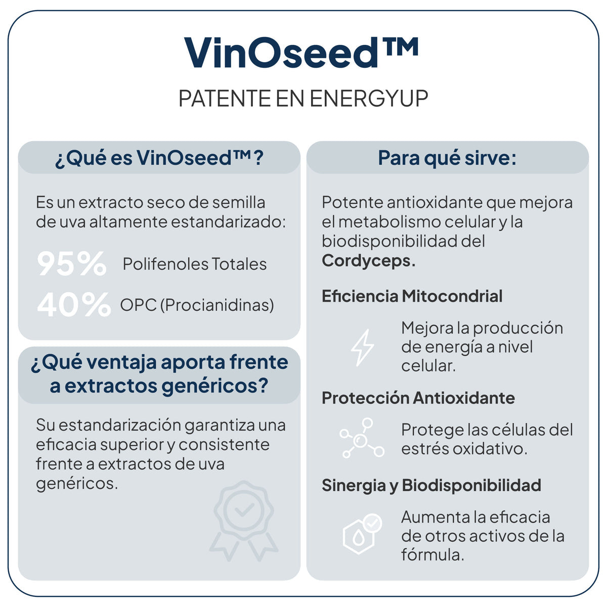 IVB WELLNESS LAB | Energy UP - 60 Cápsulas - imagen oficial 4