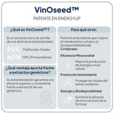 IVB WELLNESS LAB | Energy UP - 60 Cápsulas - imagen oficial 4