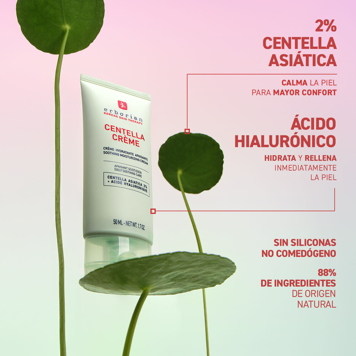 ERBORIAN | Centella Creme - 50ml