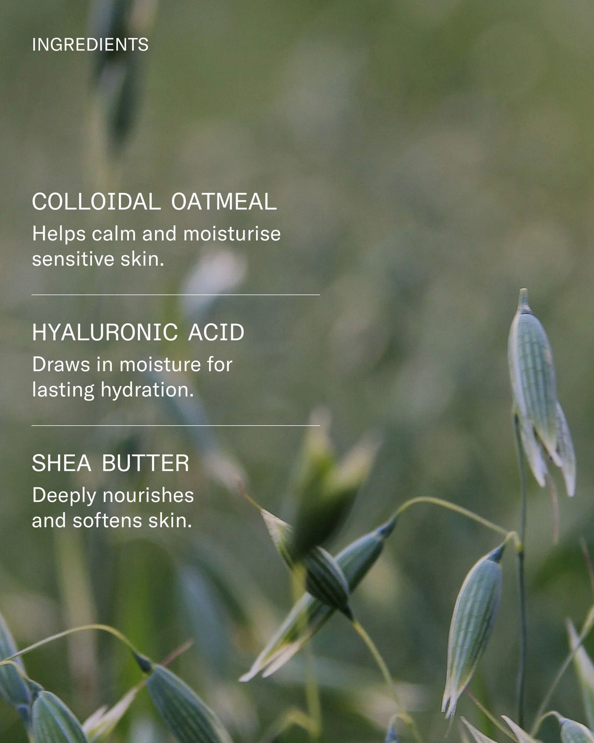 FACETHEORY | HydraOat Soothing Daily Moisturiser - 50ml