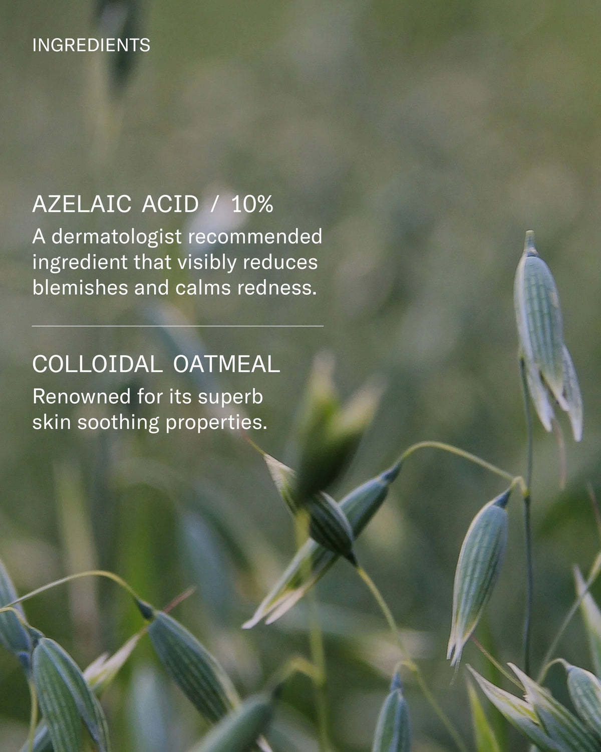 FACETHEORY | Blemicalm Azelaic Acid 10% Clarifying Serum - 30ml