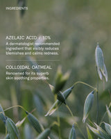 FACETHEORY | Blemicalm Azelaic Acid 10% Clarifying Serum - 30ml