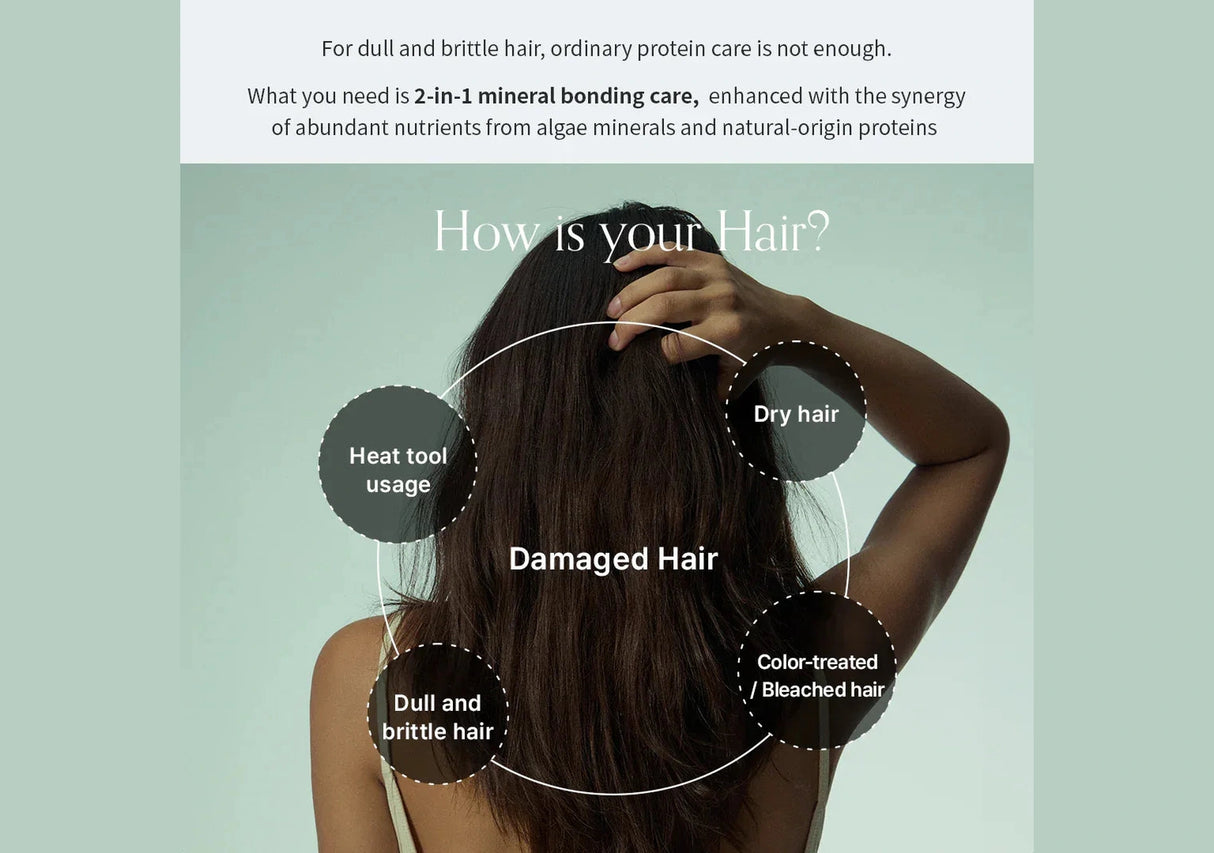 GROWUS | Algae Therapy Mineral No-Wash Treatment - 150ml