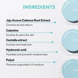 INNISFREE | No-Sebum Mineral Powder - 5 gr