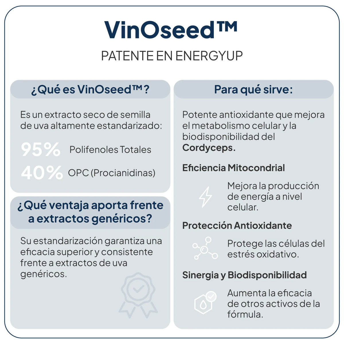 IVB WELLNESS LAB | Energy UP - 60 Cápsulas