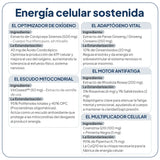 IVB WELLNESS LAB | Energy UP - 60 Cápsulas