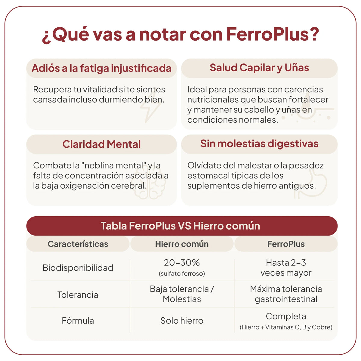 FerroPlus
