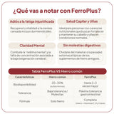 FerroPlus