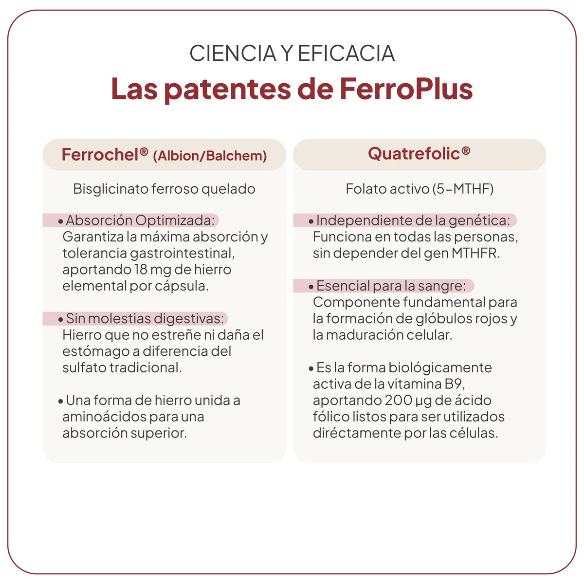 FerroPlus