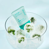 LILYEVE | Scalp: Turn Cica PDRN Brush Ampoule - 100ml