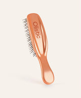 OLISTIC | The iBrush