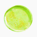 PURITO | Azelaic Acid 10 Kojic Tea Tree Serum - 30ml