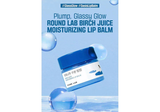 ROUND LAB | Round Lab Birch Moisturizing Lip Balm - 20gr