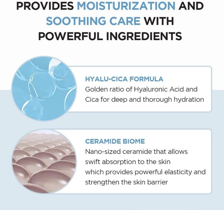 SKIN 1004 | Madagascar Centella Hyalu-Cica First Ampoule - 100ml