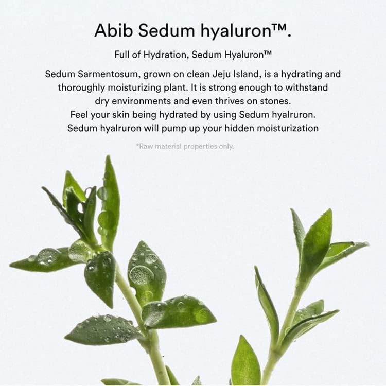 ABIB | Sedum Hyaluron Crème Hydrating Pot - 80ml