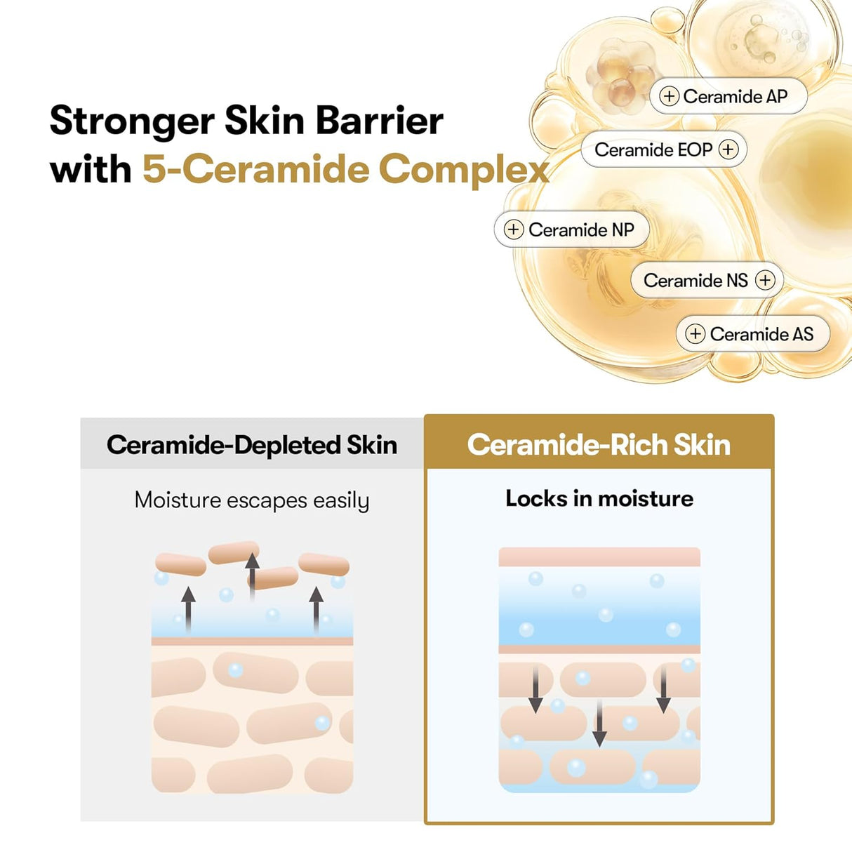 VT COSMETICS | Rice Ceramide Capsule Cream - 50ml
