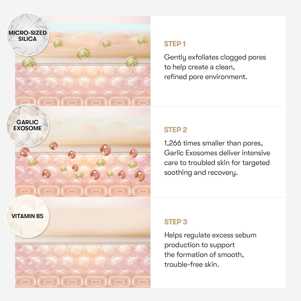 VT COSMETICS | Garlic AC Reedle Shot Gel Cream - 50ml