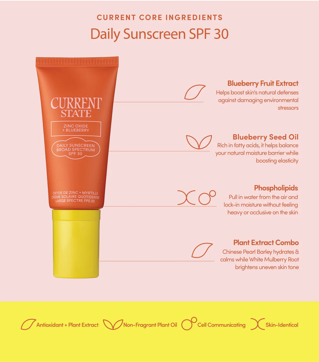 Zinc Oxide + Blueberry Daily Sunscreen SPF 30