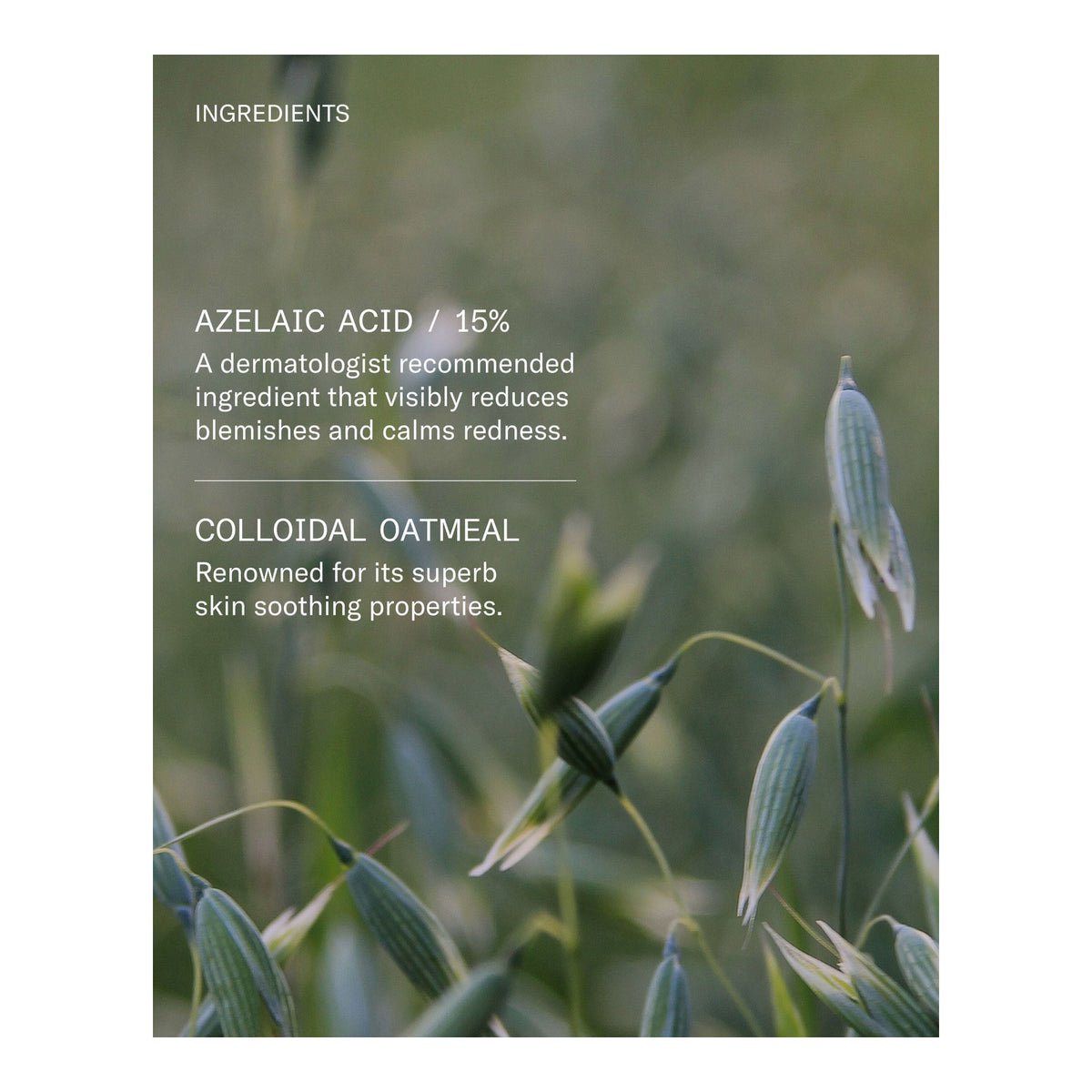 FACETHEORY | Blemicalm Azelaic Acid 15% Clarifying Serum - 30ml
