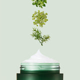 LANEIGE | CICA Sleeping Mask Mini - 10ml