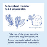 NUMBUZIN | No.4 Icy Soothing Sheet Mask