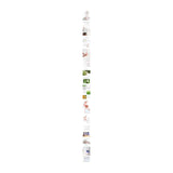 PYUNKANG YUL | Low pH Feminine Wash 500ml