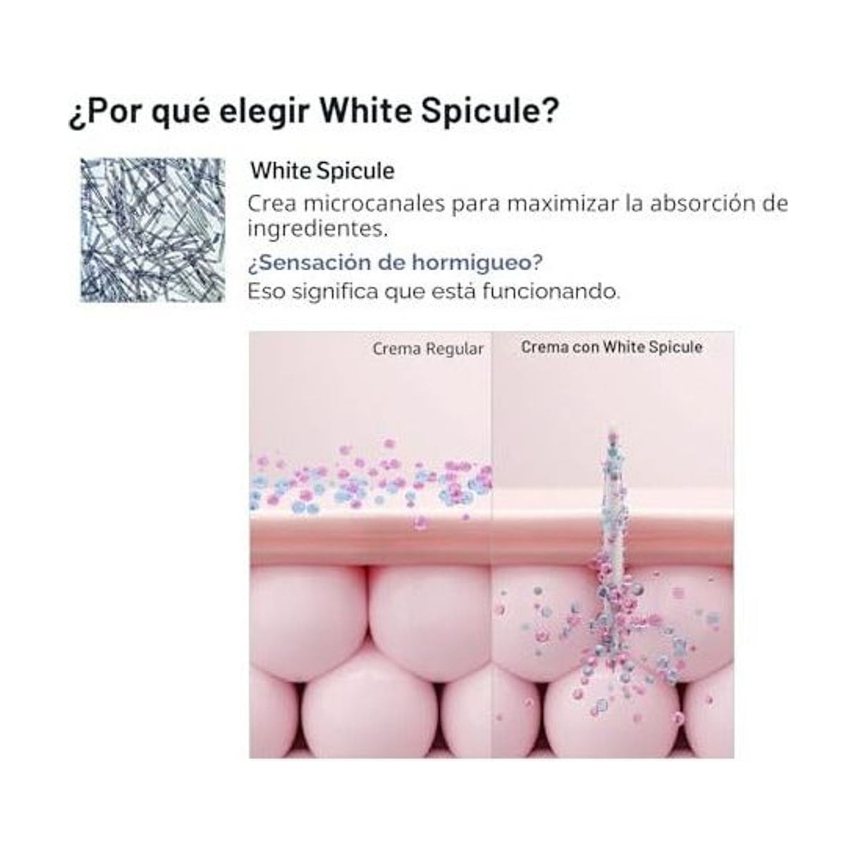 SUNGBOON EDITOR Collagen Retinol Power Boosting Capsule Cream - 50ml: ingredientes clave y tecnología de la fórmula, comparativa adicional; protección solar y cuidado de la piel