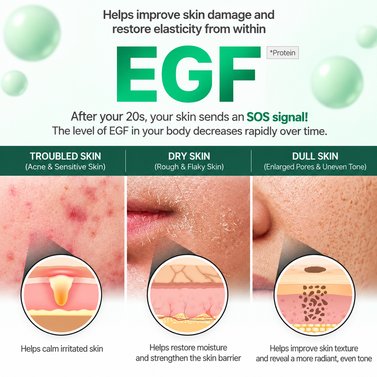 ZIPIDERM | EGF Skin Barrier Night Capsule Cream - 21gr / 80 cápsulas