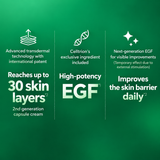 ZIPIDERM | EGF Skin Barrier Night Capsule Cream - 21gr / 80 cápsulas