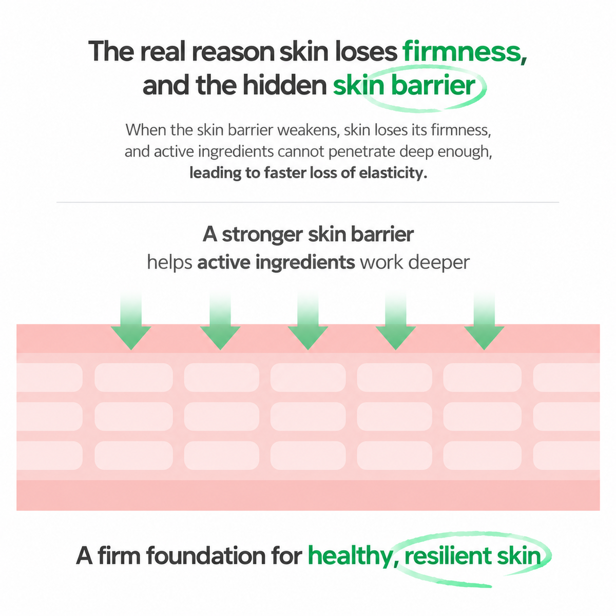 ZIPIDERM | EGF Skin Barrier Night Capsule Cream - 21gr / 80 cápsulas