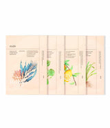 Beauty Masks Pack de Ondo Beauty 36.5